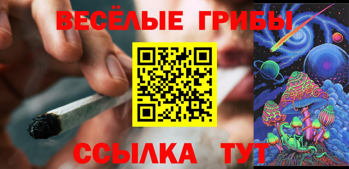 Калининград  Псилоцибиновые грибы MAGIC MUSHROOMS  Вход с VPN 