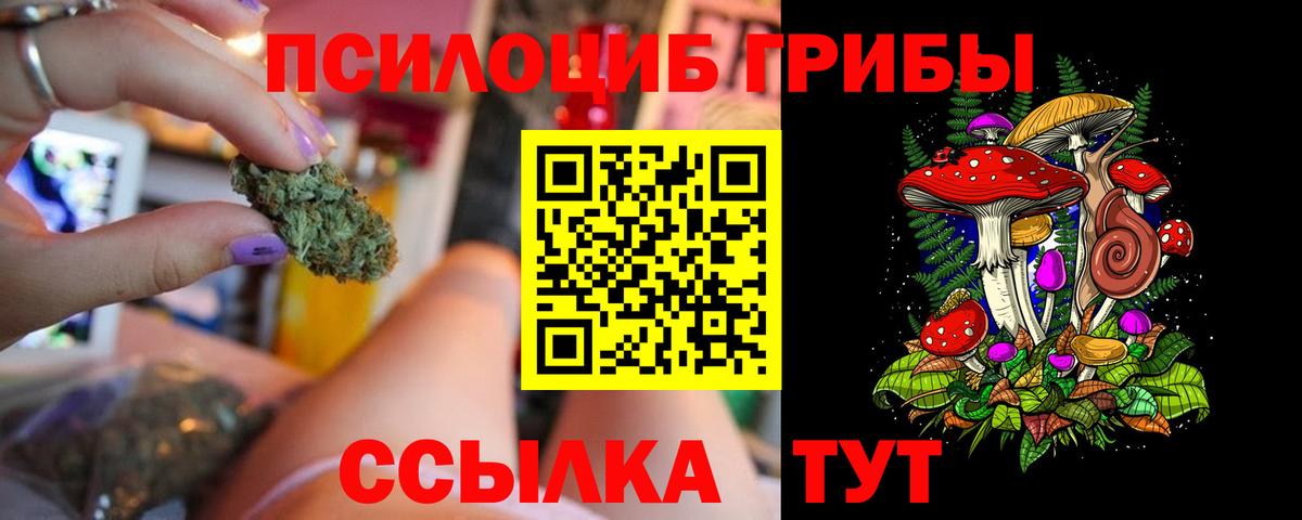 Галлюциногенные грибы Psilocybine cubensis Калининград
